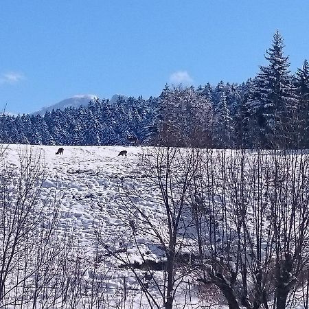 Отель La Ferme Du Bois Barbu Виллар-де-Ланс Экстерьер фото