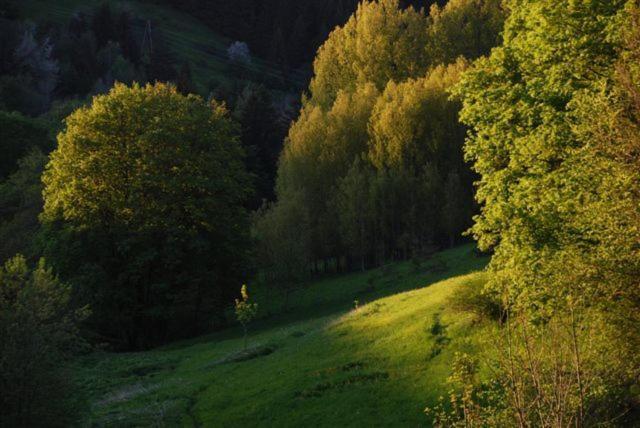 Отель La Ferme Du Bois Barbu Виллар-де-Ланс Экстерьер фото